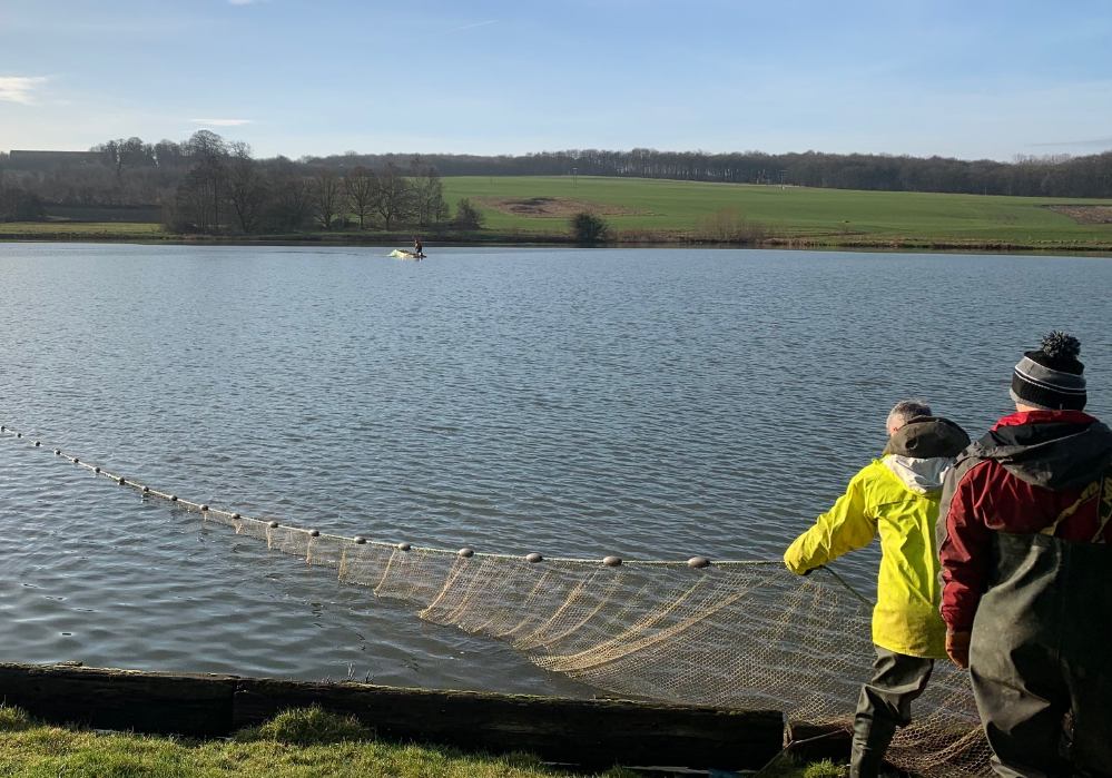 Net being pulled in fishing lake