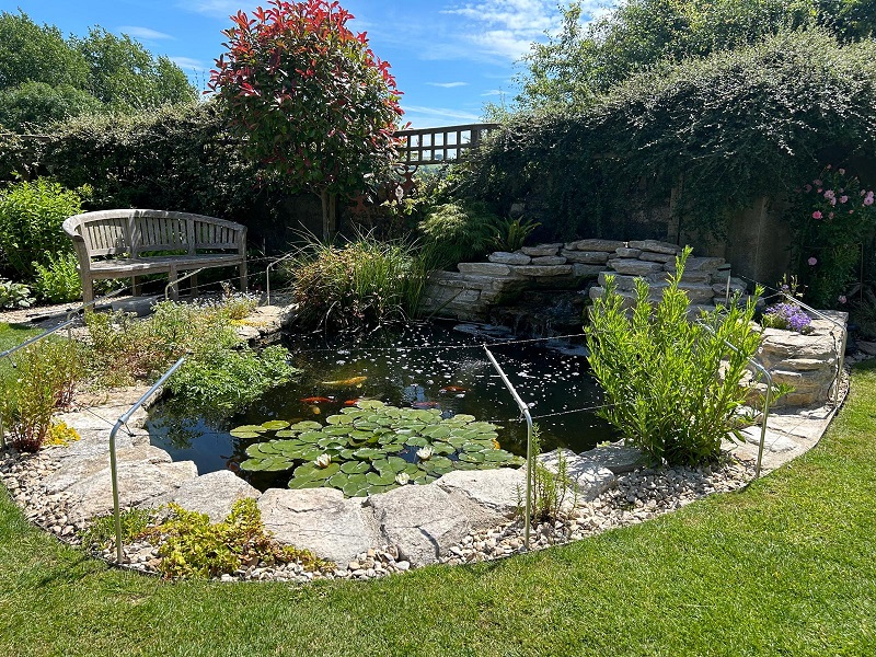 Pond with landscaping fish and predator control fencing