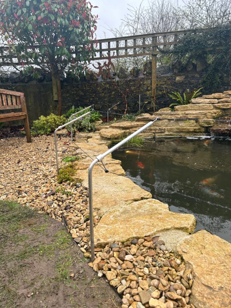 Pond with landscaping fish and predator control fencing