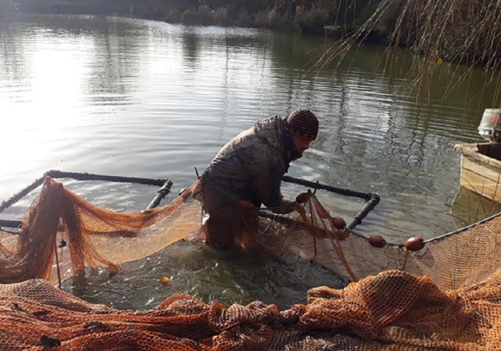 Net being pulled in fishing lake